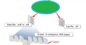 sql server data stored