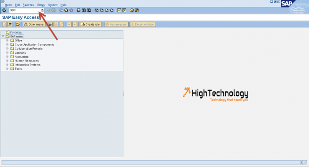 How To Assign Role To User In SAP