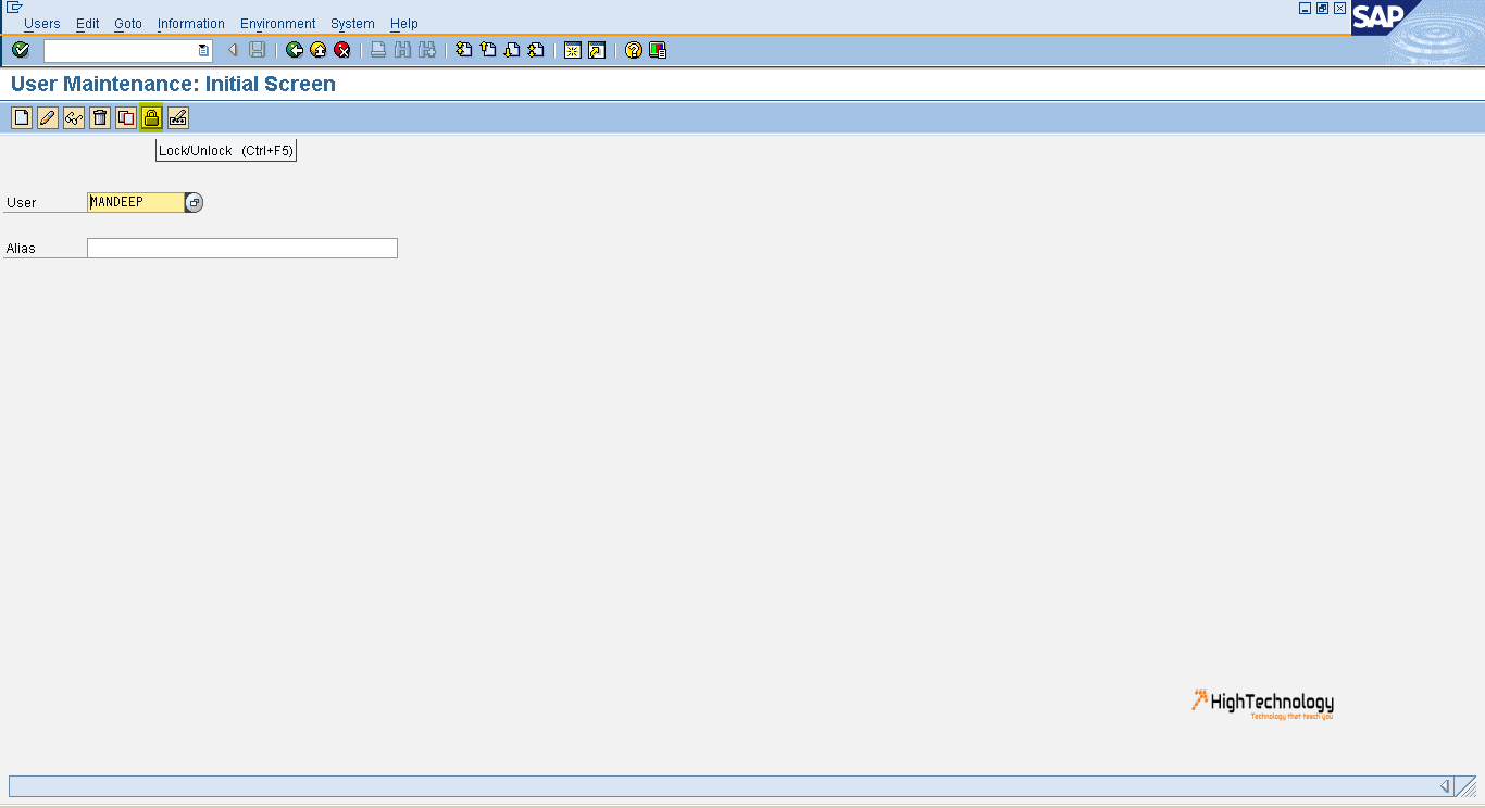 Unlock user. SAP Logon элементы управления html.