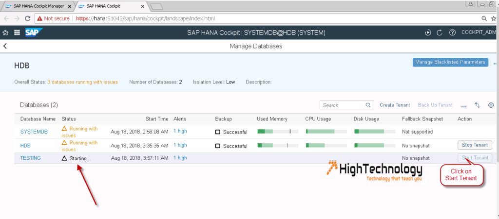 Start and Stop a SAP Hana Tenant Database